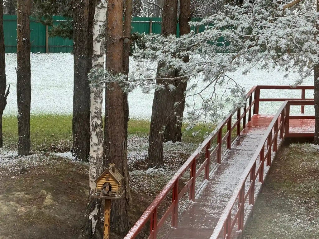Здание и территория Клинического Института Мозга - фото 5